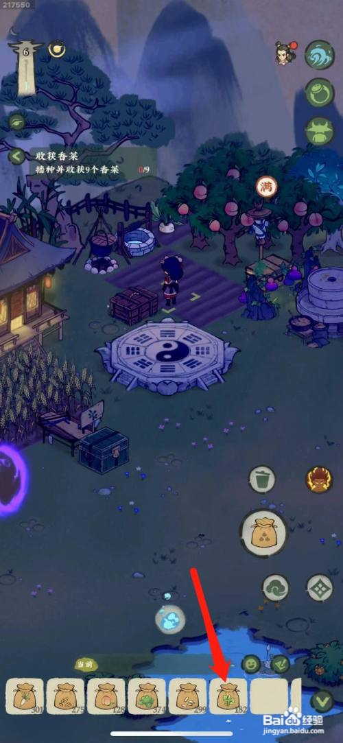 仙山小农怎么种植香菜