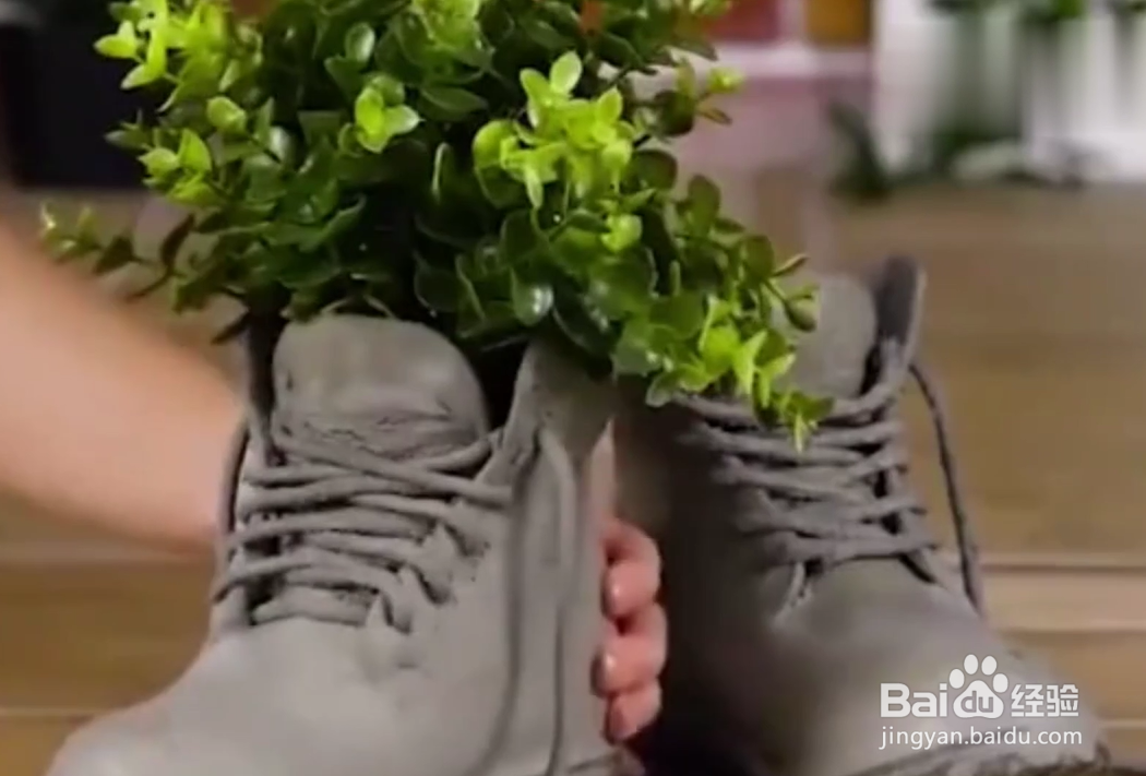 水泥有什么妙用呢?