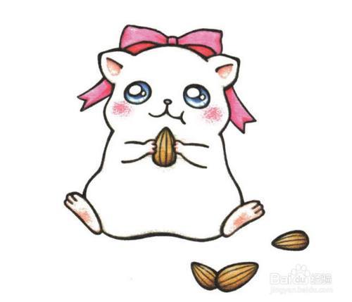 吃坚果的彩色仓鼠的简笔画