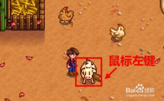 星露谷物语怎么挤牛奶