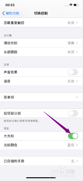 iphone11怎么开启切换控制视觉大光标
