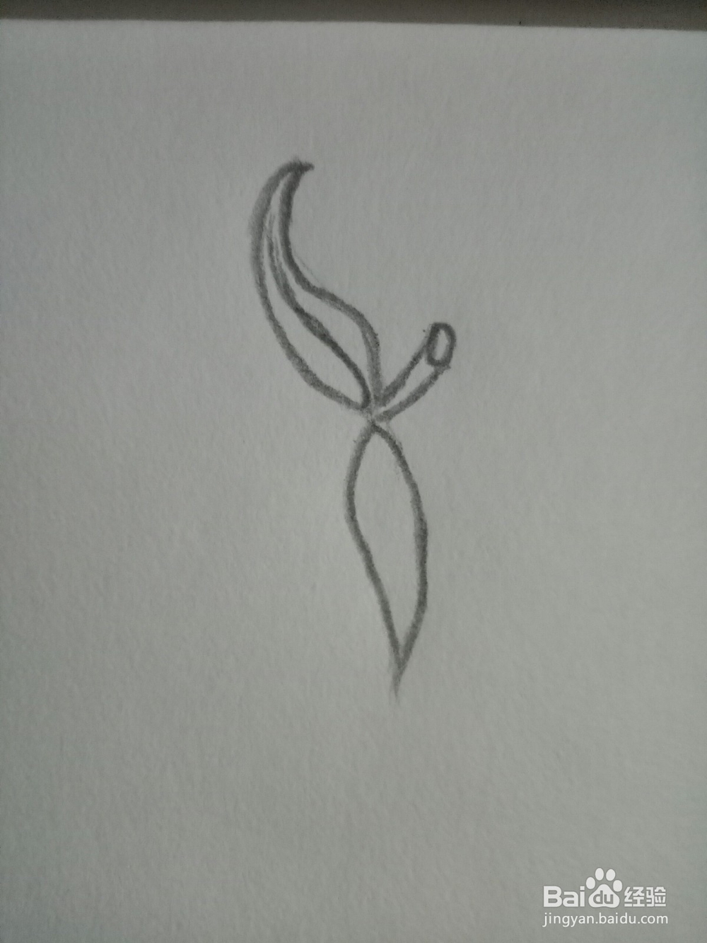 简笔画：一个大芒果