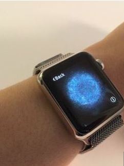 apple watch上的i标志在哪