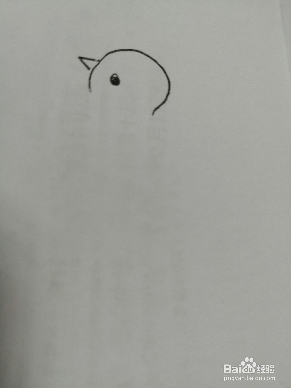 简笔画可爱的小鸡怎么画