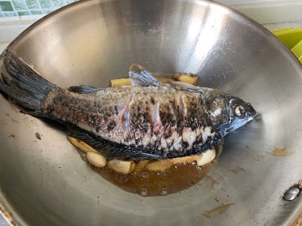 鲜美鲫鱼豆腐汤