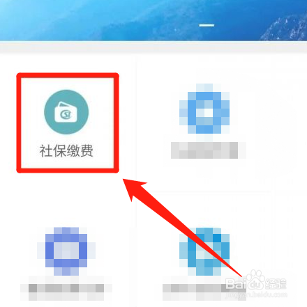 云南税务局养老保险怎么交