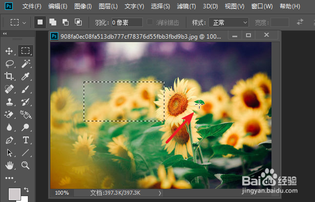 ps2019怎么取消选区，取消选区快捷键﻿怎么用