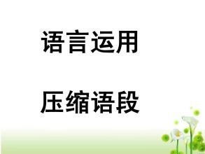压缩语段的方法技巧