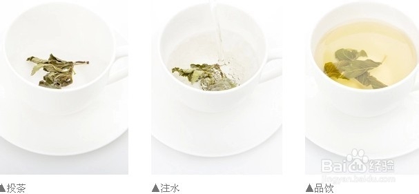 薄荷茶——清清凉凉的味道