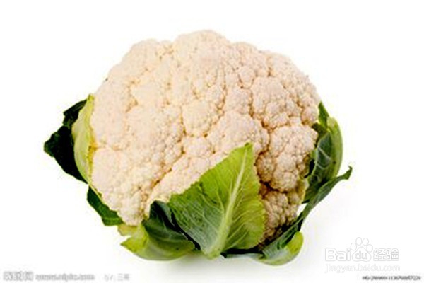 秋季小孩应该多食用哪些食物