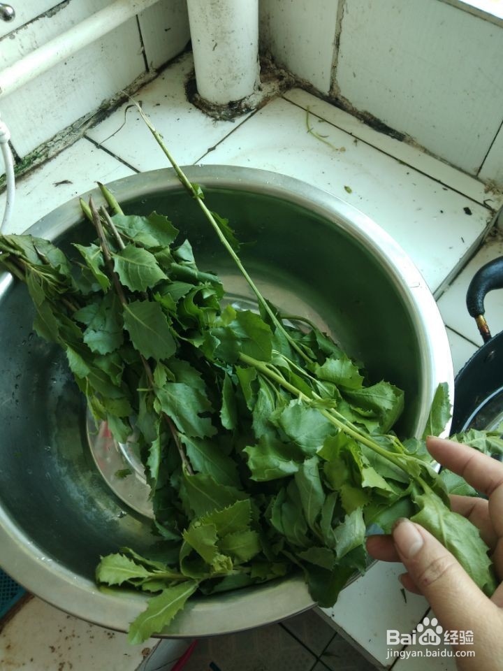 宝宝积食吃什么好