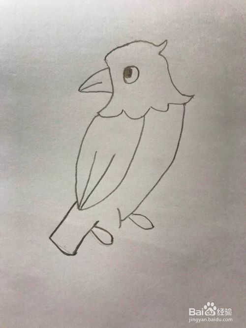 鹦鹉的简笔画的画法