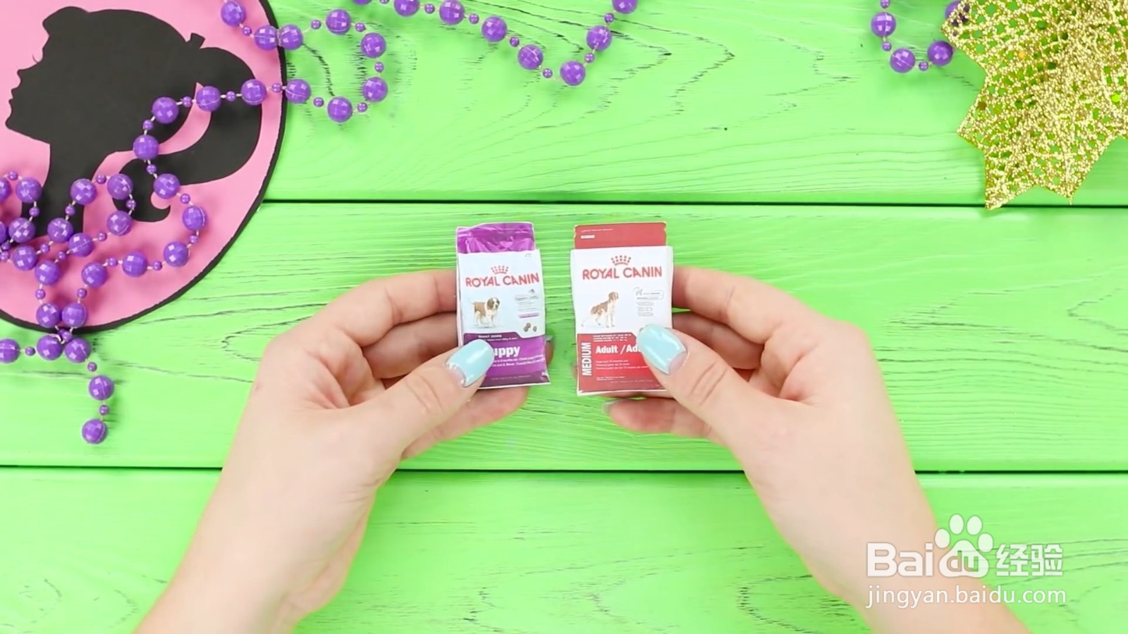 如何给宠物狗狗diy美味的食物？