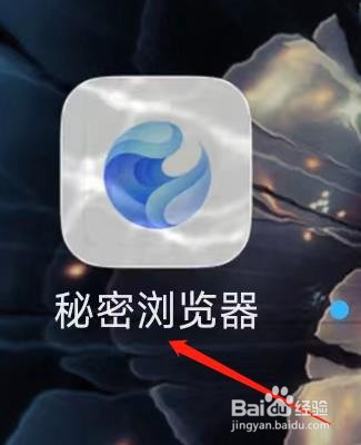 秘密浏览器开启加密隐身