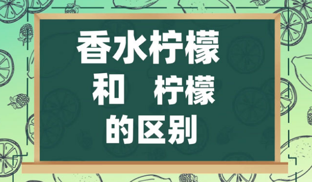 香水柠檬和柠檬的区别