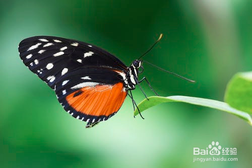 PS中如何制作水滴效果