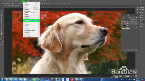 PS快速抠图的小技巧