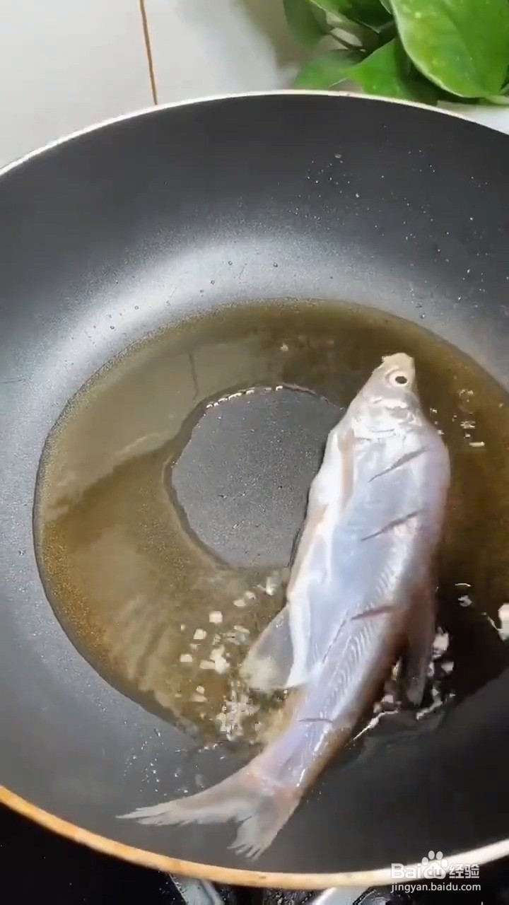如何在家弄好吃美味的红烧小鲳鱼