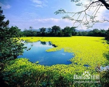 桐庐旅游攻略自驾游