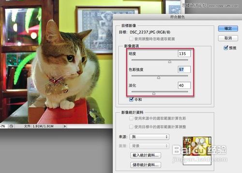 Photoshop给偏色的猫咪照片校色