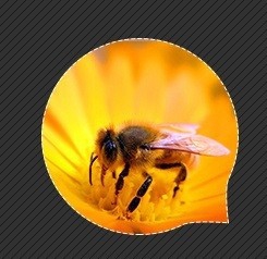夏天防虫手册和急救法