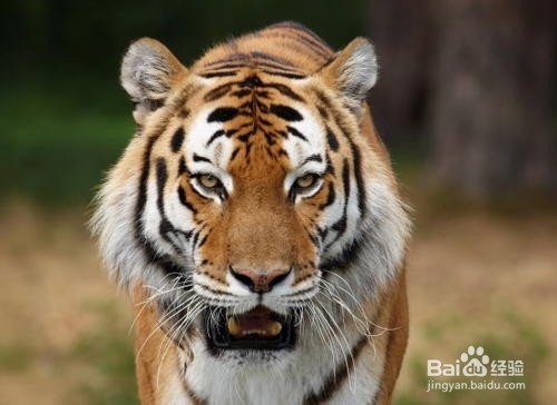 危害性气溶胶如何处理