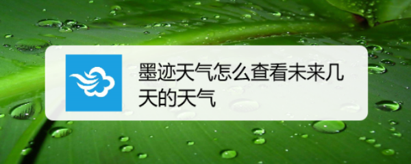 墨迹天气怎么查看未来几天的天气