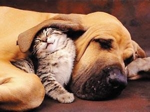 怎样做一个值得人相处的人