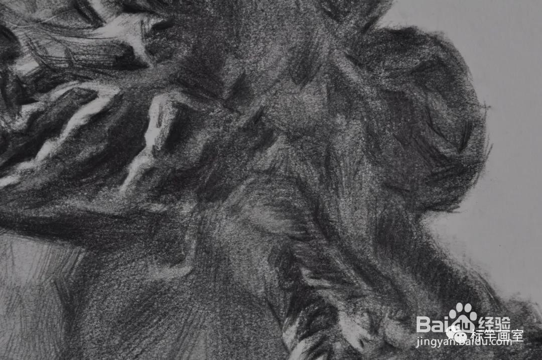 【素描石膏头像】阿里阿德涅-全侧面详细画法