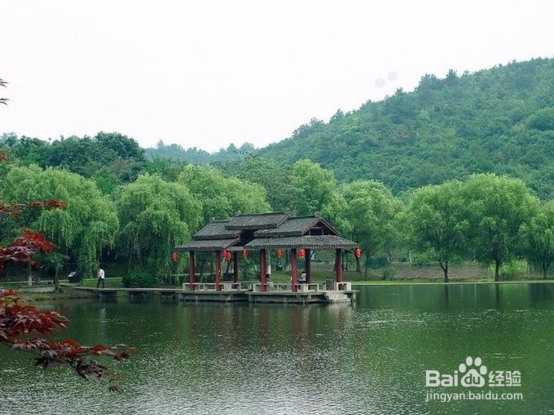 2017华东五市旅游攻略