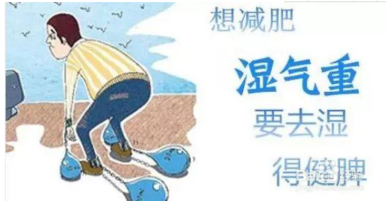 湿气比较重的人如何减肥