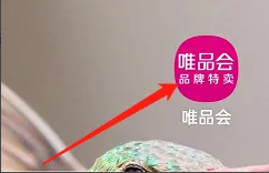 如何查看唯品会APP中的待付款