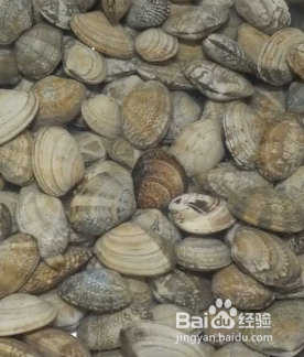 怎样做好吃的爆炒花甲