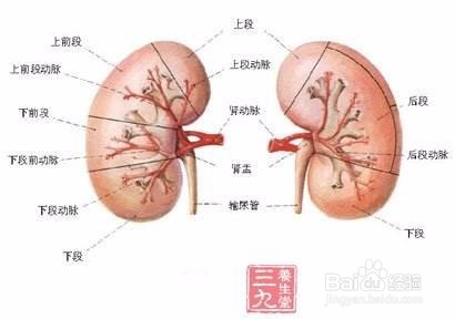 如何保养女生的8大脆弱部位?