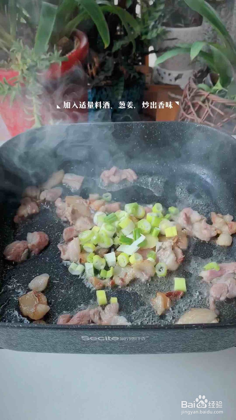 白菜粉皮五花肉