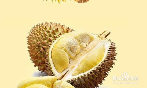 怎么辨别榴莲熟了?