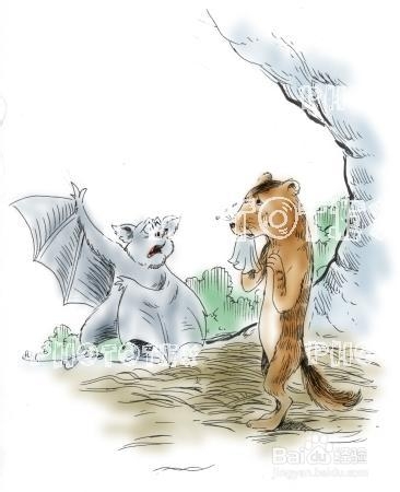 管理沟通 经典来袭：[1]寓言新解之蝙蝠自救