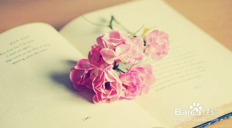 淡季怎么吸引顾客进店