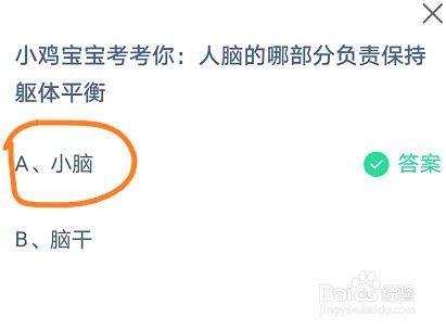 蚂蚁庄园人脑的哪部分负责保持躯体平衡