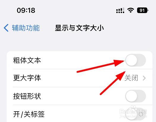 iPhone13如何显示文字的粗体