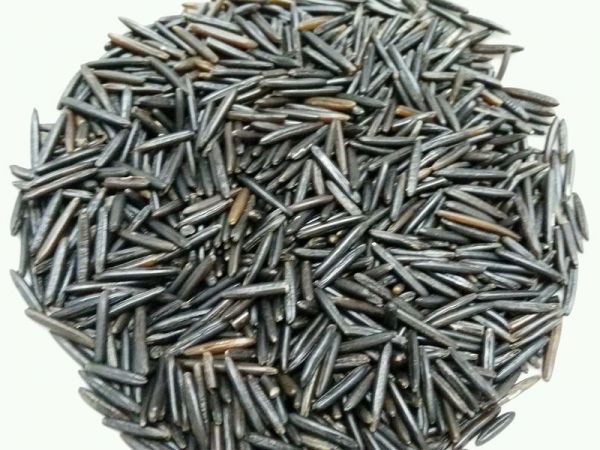 洋葱番茄炒菰米