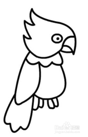 多嘴的鹦鹉简笔画