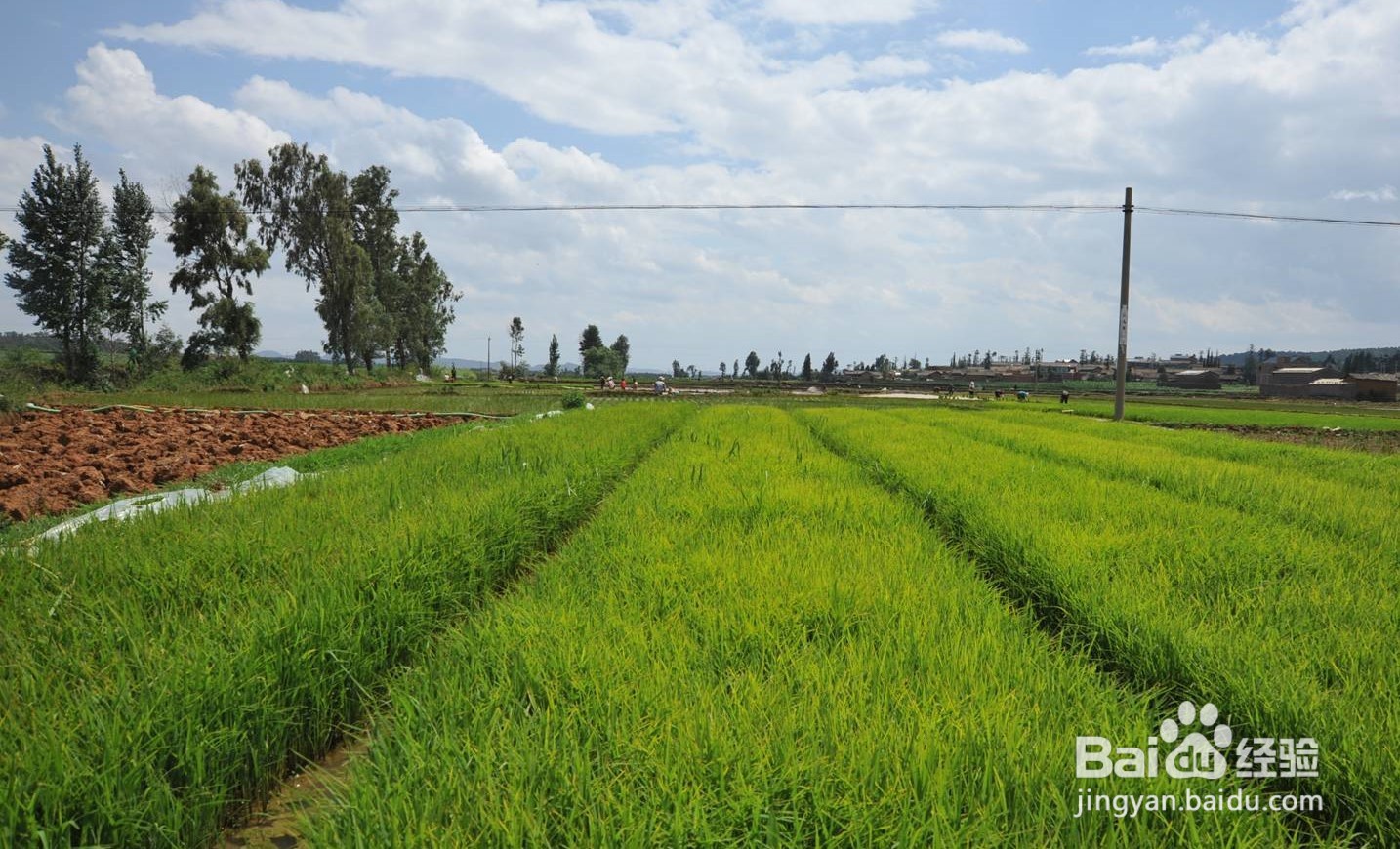 考大学怎么选专业