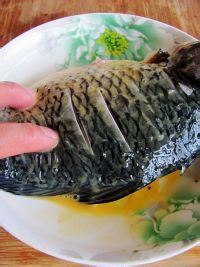 怎么做红烧鲫鱼好吃