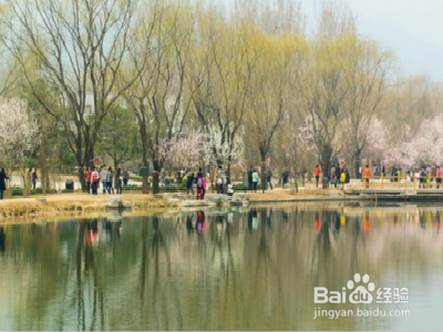 北京早春游玩注意什么