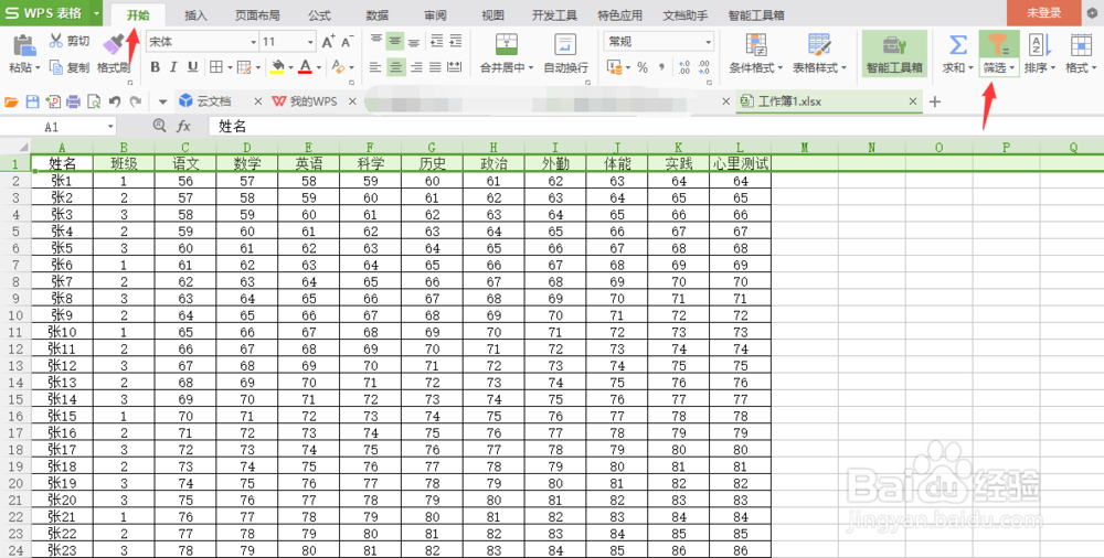 怎样使用WPS的筛选功能