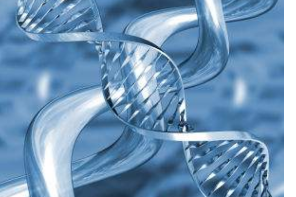 组成核酸的元素