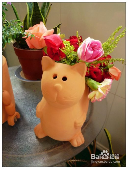 7月21日更新(肉肉入住中!)--DIY阳台花园日记