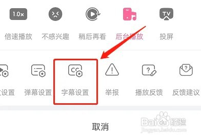 哔哩哔哩短视频在哪里看字幕
