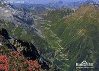 怎么才能有个好心态